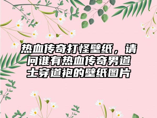 热血传奇打怪壁纸，请问谁有热血传奇男道士穿道袍的壁纸图片