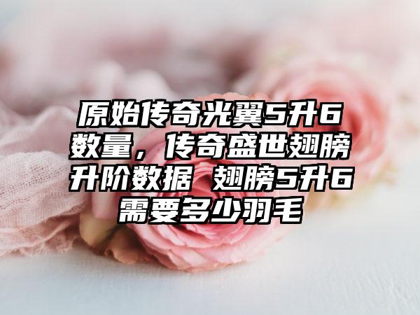 原始传奇光翼5升6数量，传奇盛世翅膀升阶数据 翅膀5升6需要多少羽毛