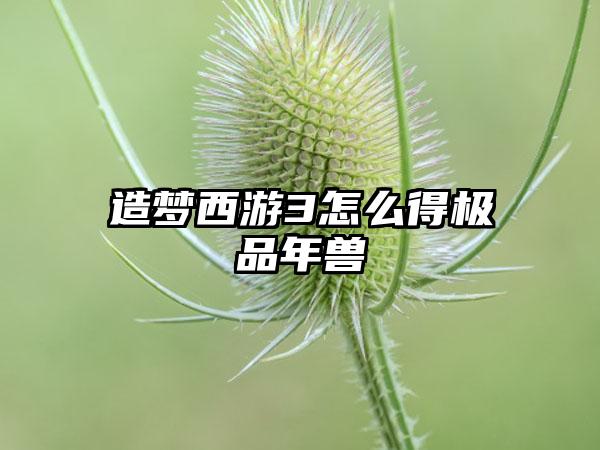 造梦西游3怎么得极品年兽