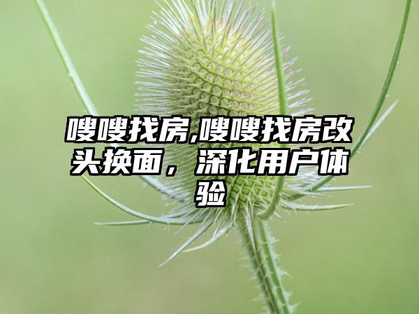 嗖嗖找房,嗖嗖找房改头换面，深化用户体验