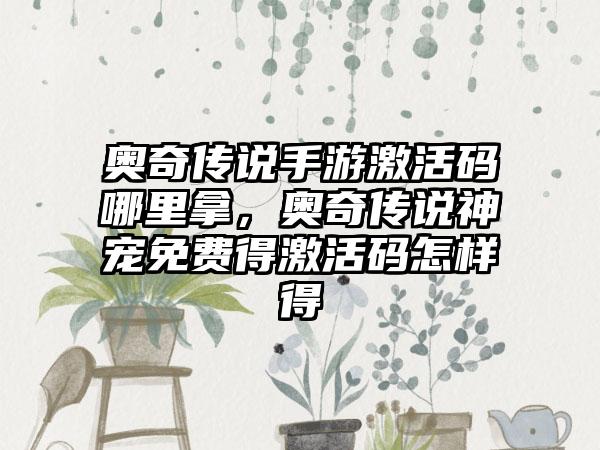 奥奇传说手游激活码哪里拿，奥奇传说神宠免费得激活码怎样得