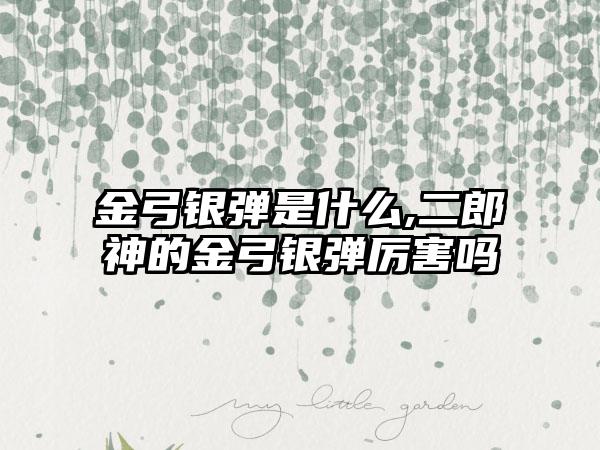 金弓银弹是什么,二郎神的金弓银弹厉害吗