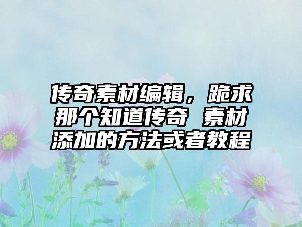 传奇素材编辑，跪求那个知道传奇 素材添加的方法或者教程