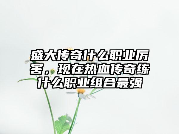 盛大传奇什么职业厉害，现在热血传奇练什么职业组合最强
