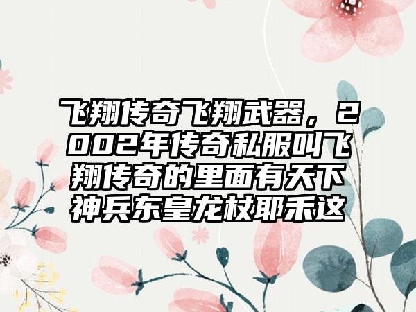 飞翔传奇飞翔武器，2002年传奇私服叫飞翔传奇的里面有天下神兵东皇龙杖耶禾这