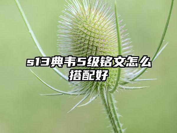 s13典韦5级铭文怎么搭配好