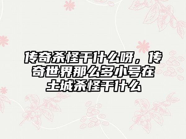 传奇杀怪干什么呀，传奇世界那么多小号在土城杀怪干什么