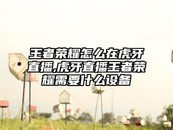 王者荣耀怎么在虎牙直播,虎牙直播王者荣耀需要什么设备