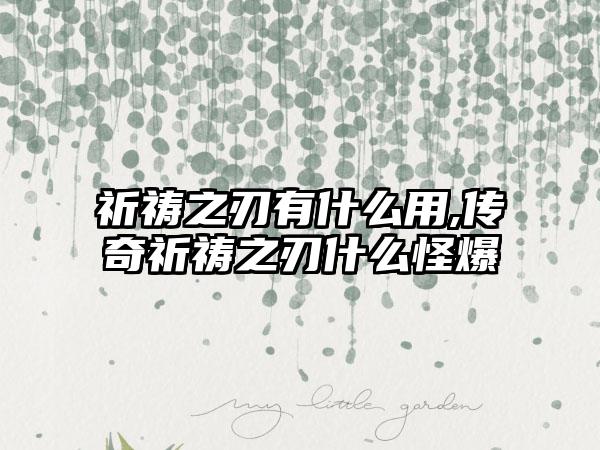 祈祷之刃有什么用,传奇祈祷之刃什么怪爆