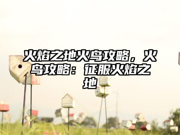 火焰之地火鸟攻略，火鸟攻略：征服火焰之地