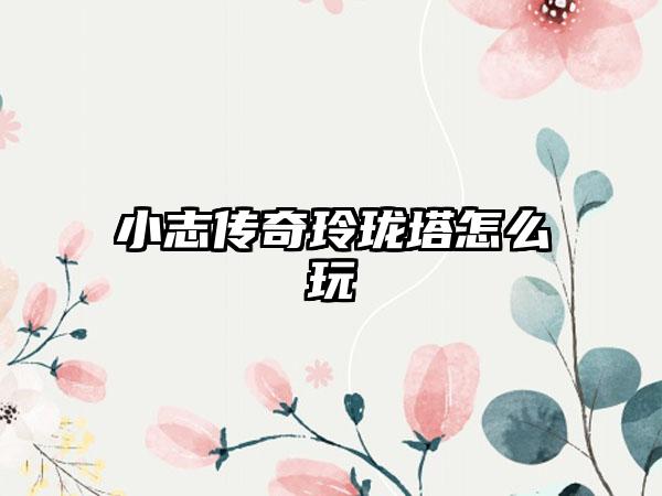小志传奇玲珑塔怎么玩