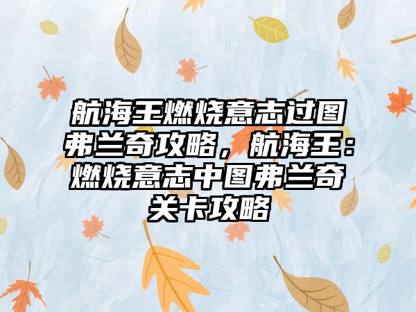航海王燃烧意志过图弗兰奇攻略，航海王：燃烧意志中图弗兰奇关卡攻略