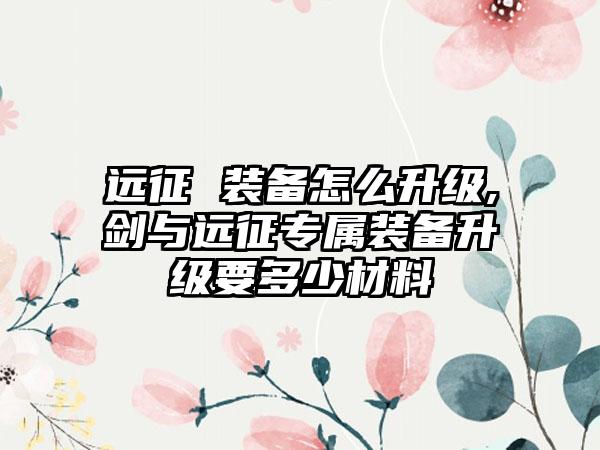 远征 装备怎么升级,剑与远征专属装备升级要多少材料