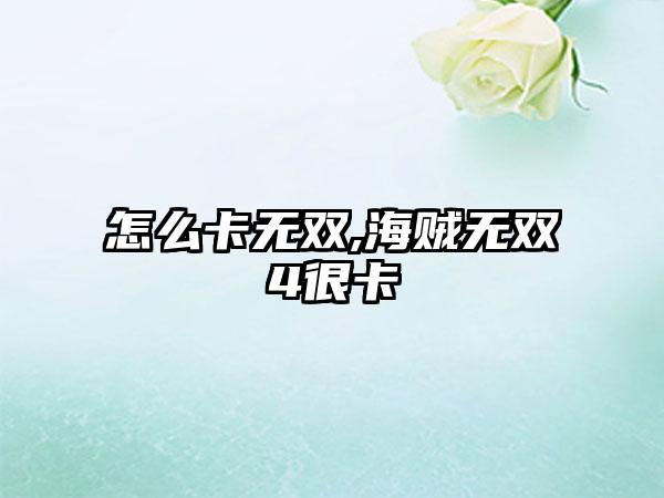 怎么卡无双,海贼无双4很卡