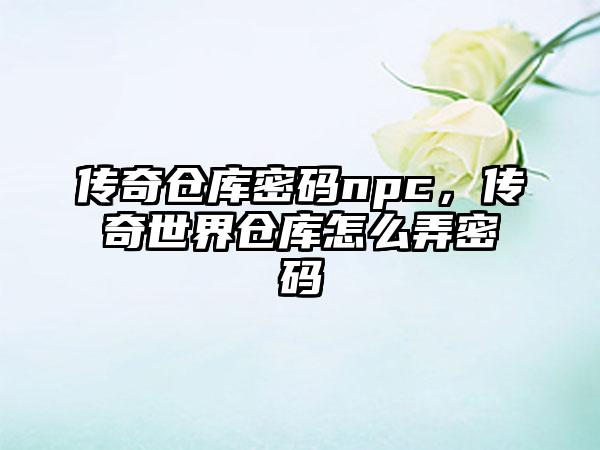 传奇仓库密码npc，传奇世界仓库怎么弄密码