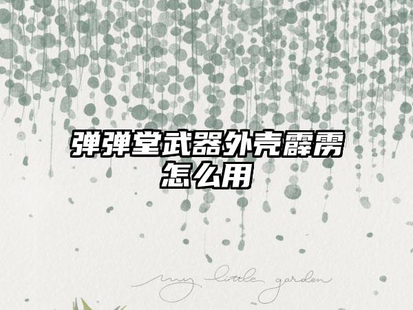 弹弹堂武器外壳霹雳怎么用