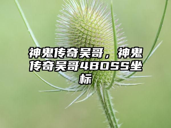 神鬼传奇吴哥，神鬼传奇吴哥4BOSS坐标