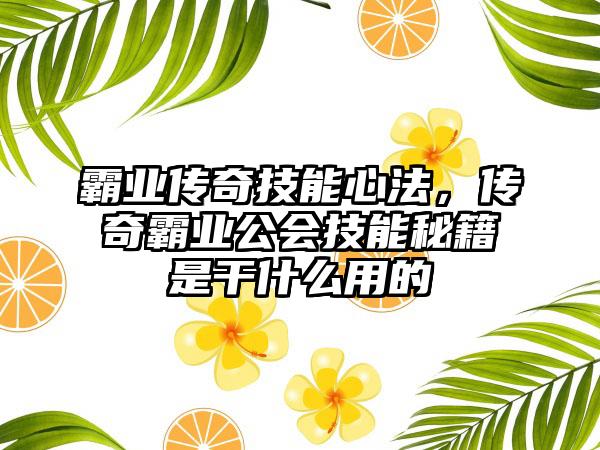 霸业传奇技能心法，传奇霸业公会技能秘籍是干什么用的