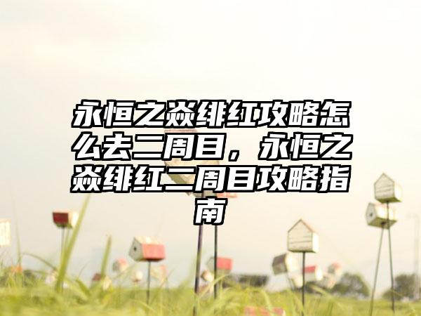 永恒之焱绯红攻略怎么去二周目，永恒之焱绯红二周目攻略指南