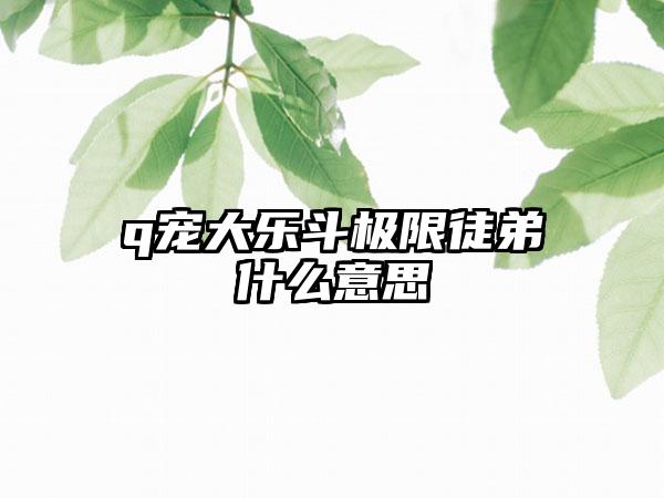 q宠大乐斗极限徒弟什么意思