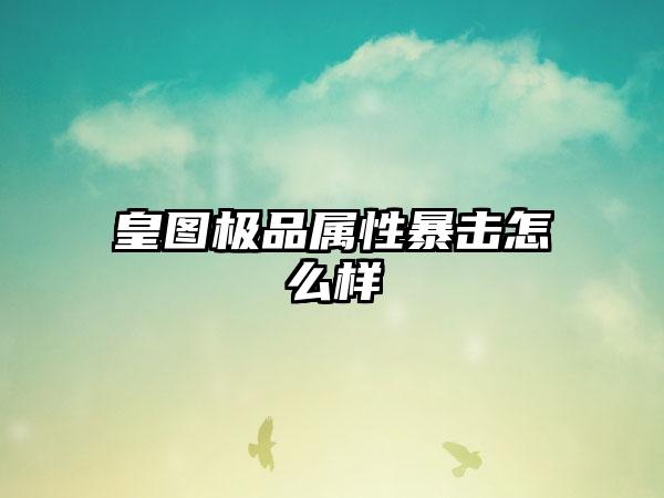 皇图极品属性暴击怎么样