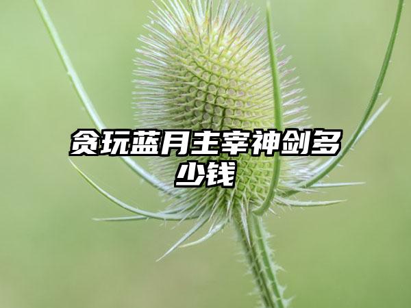 贪玩蓝月主宰神剑多少钱