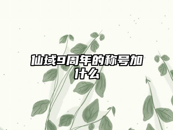 仙域9周年的称号加什么
