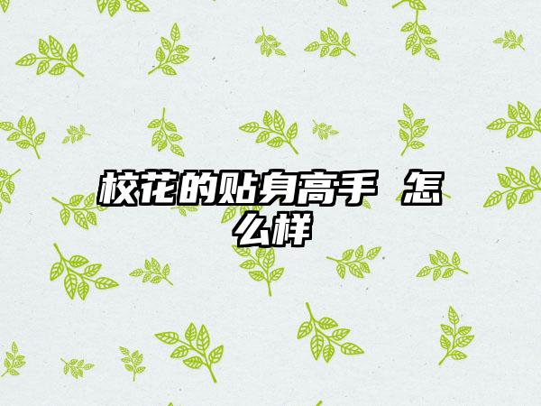 校花的贴身高手 怎么样