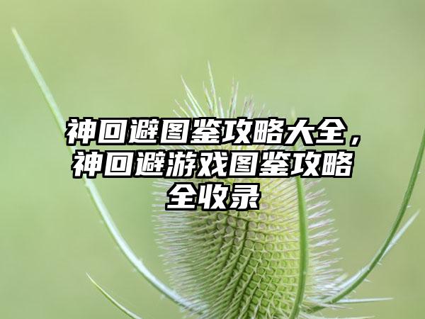 神回避图鉴攻略大全，神回避游戏图鉴攻略全收录