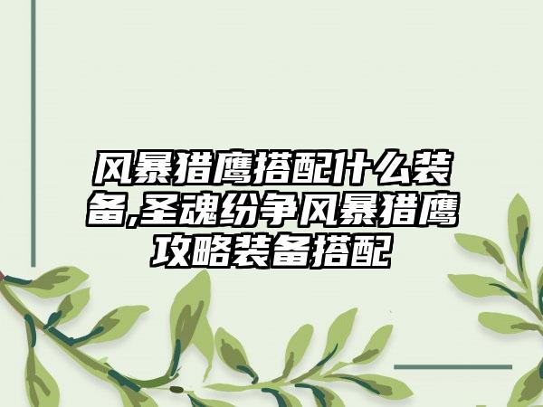 风暴猎鹰搭配什么装备,圣魂纷争风暴猎鹰攻略装备搭配