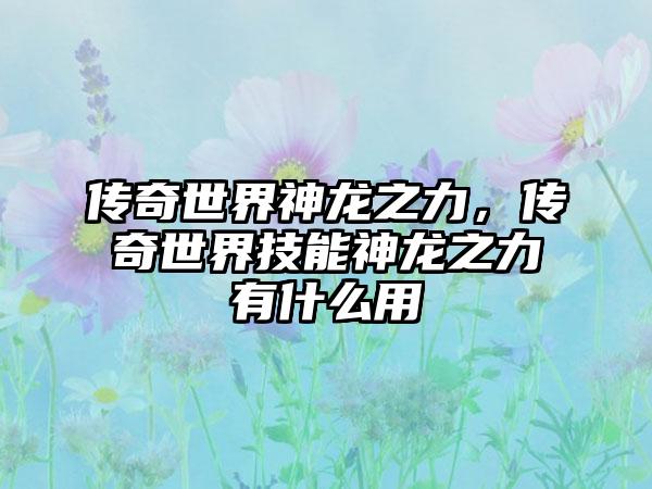 传奇世界神龙之力，传奇世界技能神龙之力有什么用