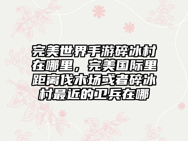 完美世界手游碎冰村在哪里，完美国际里距离伐木场或者碎冰村最近的卫兵在哪