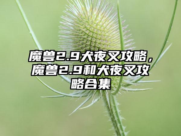魔兽2.9犬夜叉攻略，魔兽2.9和犬夜叉攻略合集