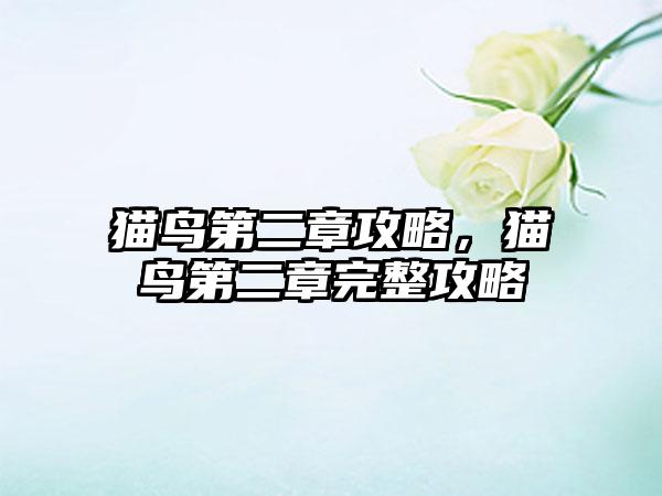 猫鸟第二章攻略，猫鸟第二章完整攻略