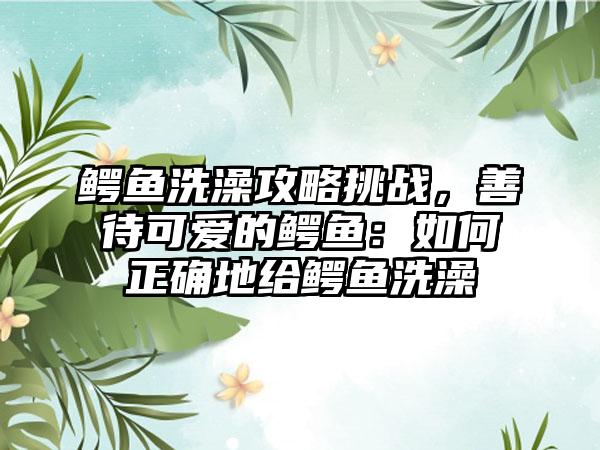 鳄鱼洗澡攻略挑战，善待可爱的鳄鱼：如何正确地给鳄鱼洗澡