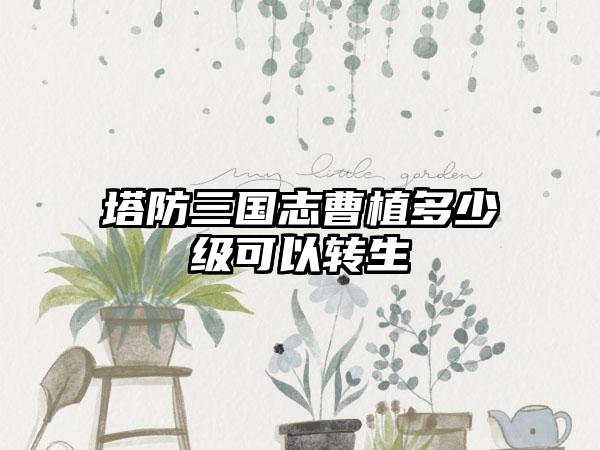 塔防三国志曹植多少级可以转生