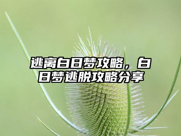 逃离白日梦攻略，白日梦逃脱攻略分享