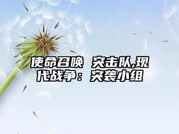使命召唤 突击队,现代战争：突袭小组
