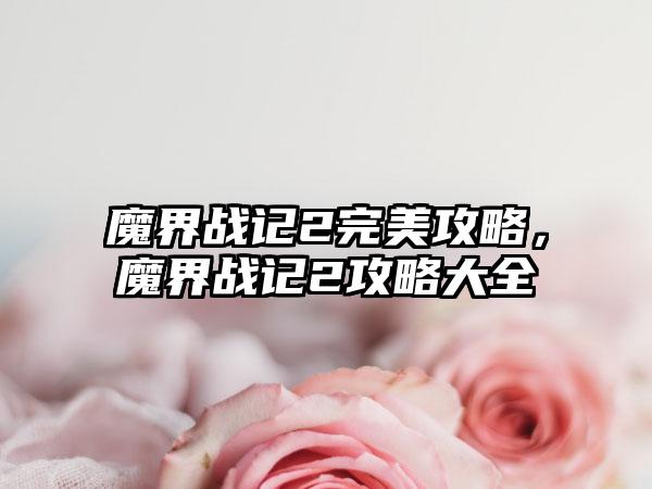 魔界战记2完美攻略，魔界战记2攻略大全
