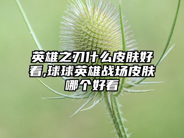 英雄之刃什么皮肤好看,球球英雄战场皮肤哪个好看