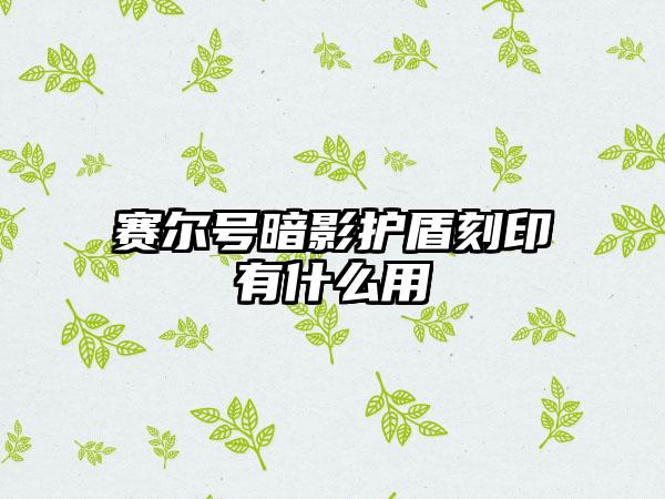 赛尔号暗影护盾刻印有什么用