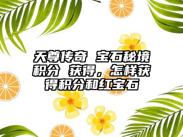 天尊传奇 宝石秘境积分 获得，怎样获得积分和红宝石
