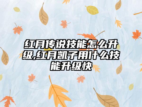 红月传说技能怎么升级,红月凯子用什么技能升级快
