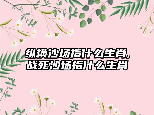 纵横沙场指什么生肖,战死沙场指什么生肖