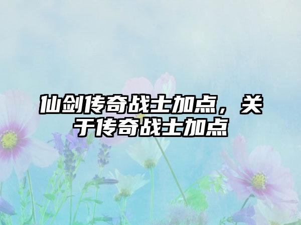 仙剑传奇战士加点，关于传奇战士加点