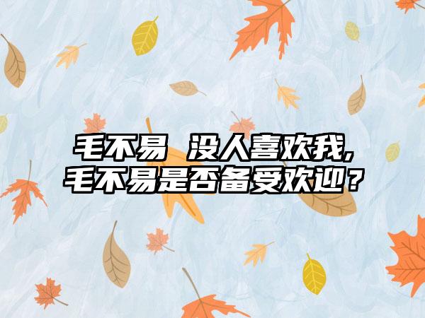 毛不易 没人喜欢我,毛不易是否备受欢迎？