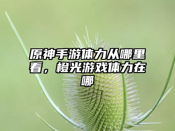 原神手游体力从哪里看，橙光游戏体力在哪