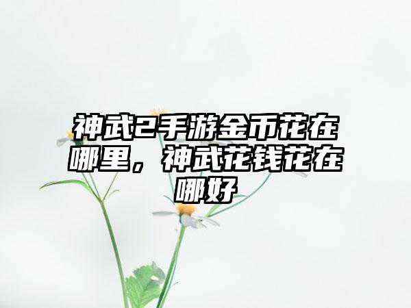 神武2手游金币花在哪里，神武花钱花在哪好
