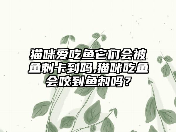 猫咪爱吃鱼它们会被鱼刺卡到吗,猫咪吃鱼会咬到鱼刺吗？