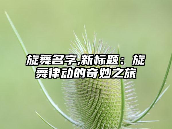 旋舞名字,新标题：旋舞律动的奇妙之旅
